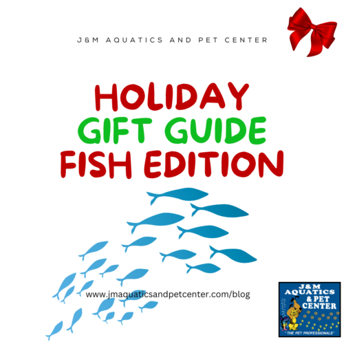 Fin-tastic Gifts for Aquarium Lovers: Essentials for Tropical Fish and Corals